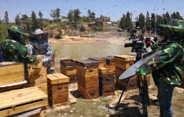 广告片制作之服务范围与市场现状的介绍